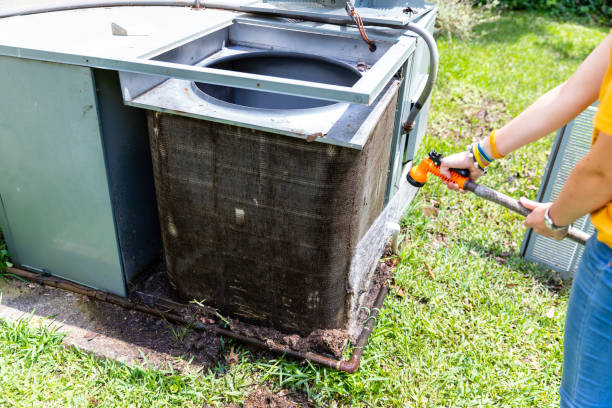 Best Ductwork Cleaning Services  in Miami Shores, FL